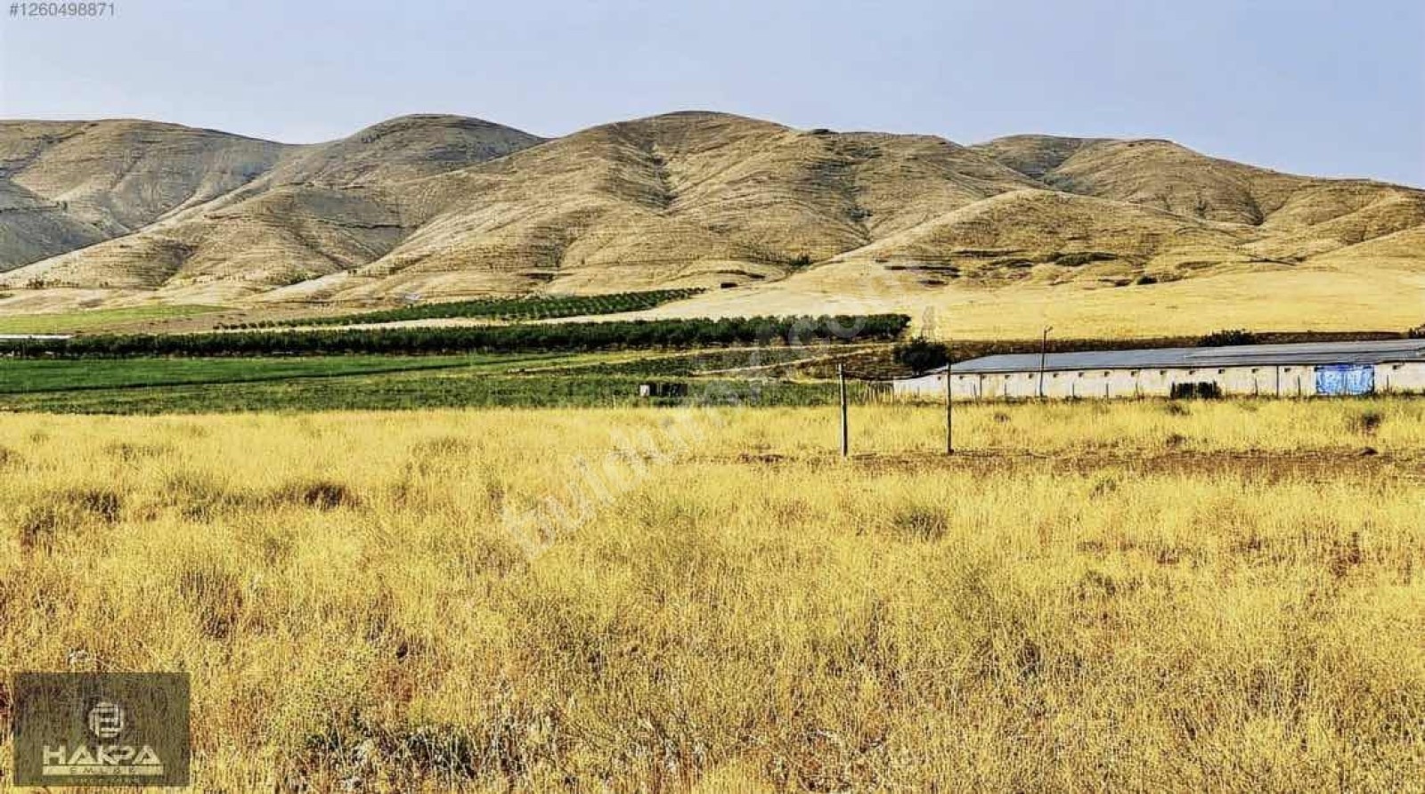 BATTALGAZİ ŞİŞMANDA 9.000M2 SULU YOLU AÇIK SATILIK HAVADAR TARLA - Fotoğraf 6